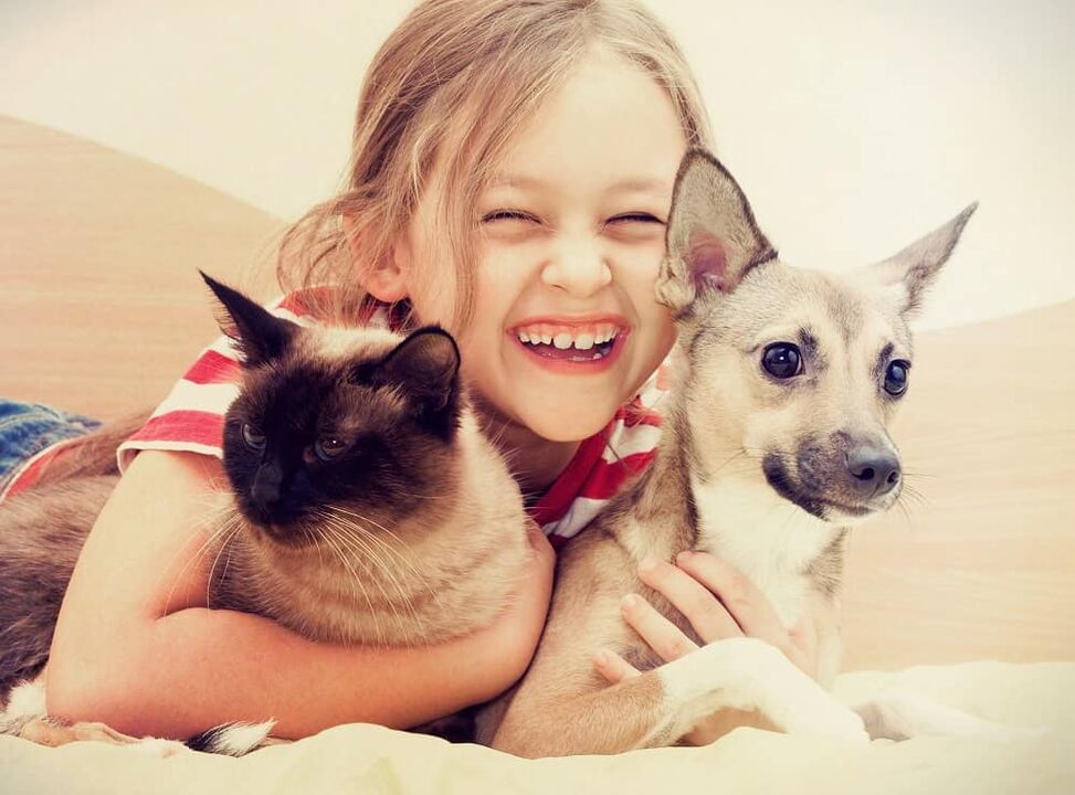 Pets can become a risk for helminth infection, especially for children. 