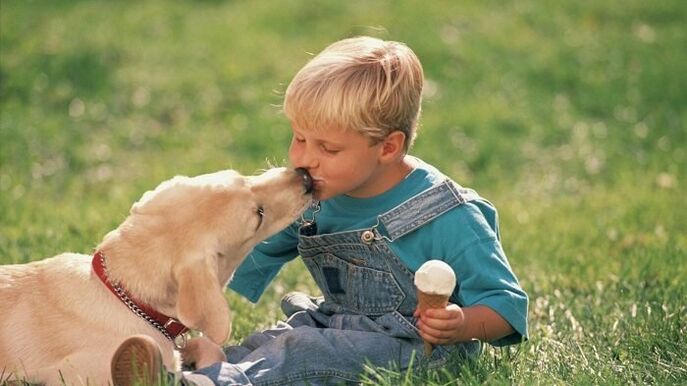 a child receives worms from a dog