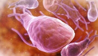 What are the parasites in the liver of a person