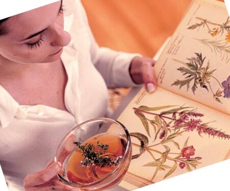 Popular parasites recipes