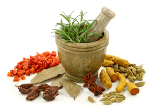 Spices of parasites in the body. 